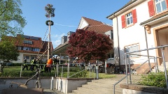 2022 Maibaum stellen (20)